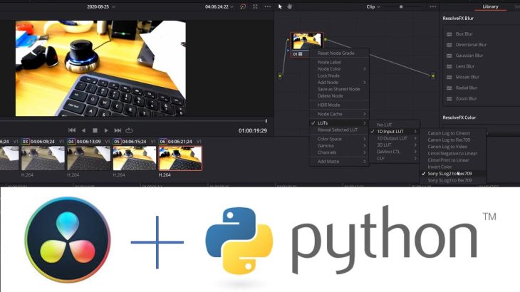 【Davinci resolve 17】「スクリプトで効率アップ。DaVinci Resolveのプロジェクト作成、メディアのインポート、配置、LUTの適用までをスクリプトで自動化」の巻 #17