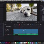 【Davinci resolve 17】【DaVinci Resolve 17】基本のカット編集　初めて動画制作をやる人向けにスマホ素材を使ってカット編集(ハードカットのみ)しています。