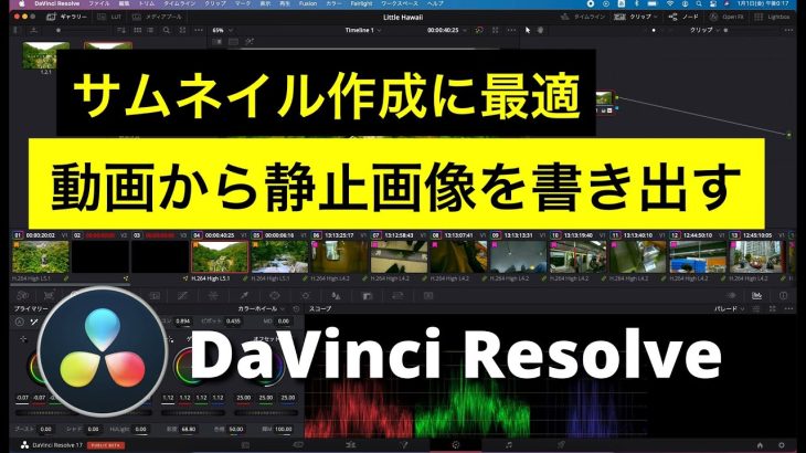 【Davinci resolve 17】【DaVinci Resolve 17】動画から静止画像を書き出す