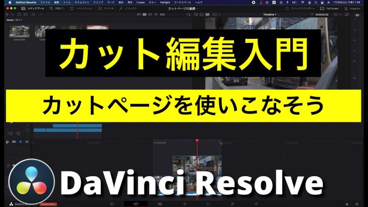 【Davinci resolve 17】【DaVinci Resolve17】カット編集入門 | 動画編集初心者がまず覚えるべきカット編集の基本操作を徹底解説