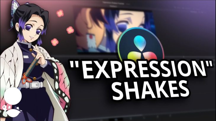 【Davinci resolve 17】DaVinci Resolve 17 | Expression Shakes Basics