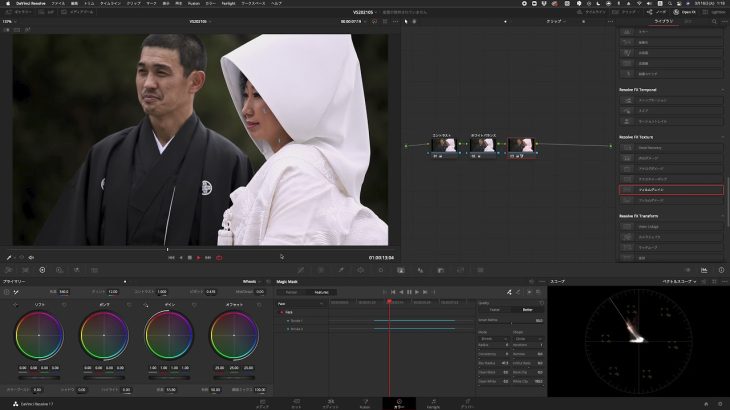 【Davinci resolve 17】DaVinci Resolve講座 第17回 実践テクニック編 人物のカラーグレーディング