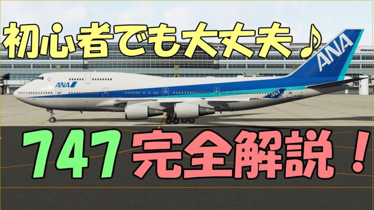【Davinci resolve 17】【解説/チュートリアル】 747の飛ばし方　前編【Flight Simulator】