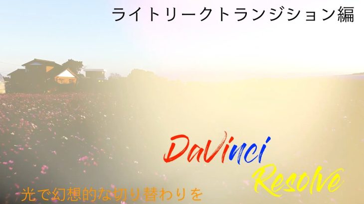 【Davinci resolve 17】How To動画　DaVinci Resolve17 【ライトリークリークトランジション編】