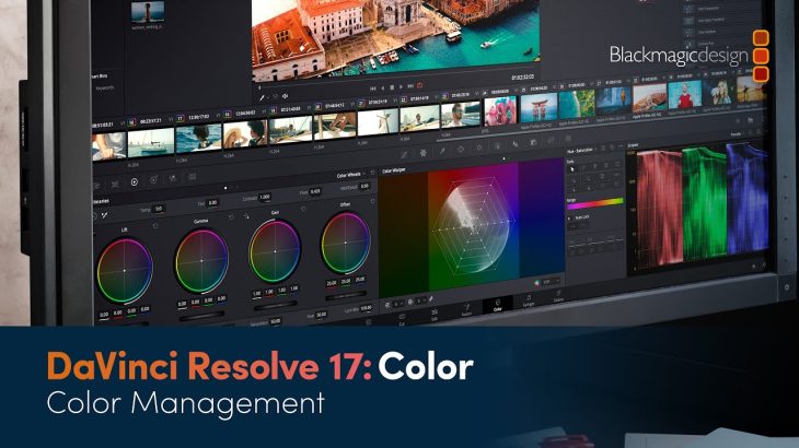 【Davinci resolve 17】DaVinci Resolve 17 Color Training – Color Management