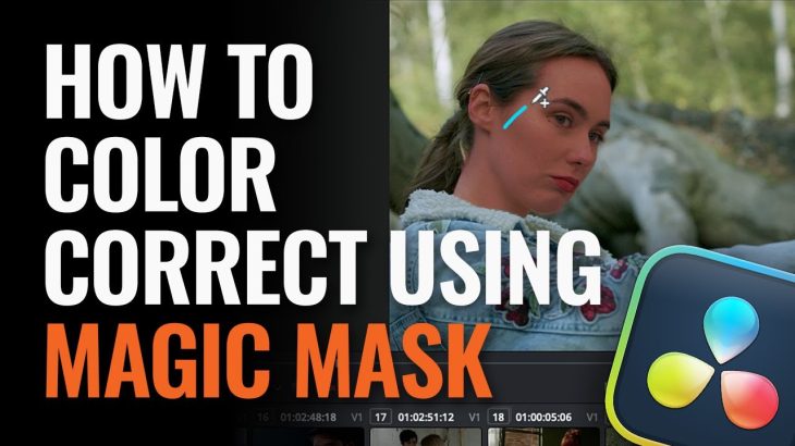 【Davinci resolve 18】DaVinci Resolve 18: How to Color Correct Using Magic Mask
