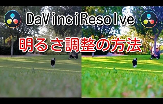 【Davinci resolve 17】【DavinciResolveの使い方】カラー編集で明るさを調整する方法【無料動画編集】