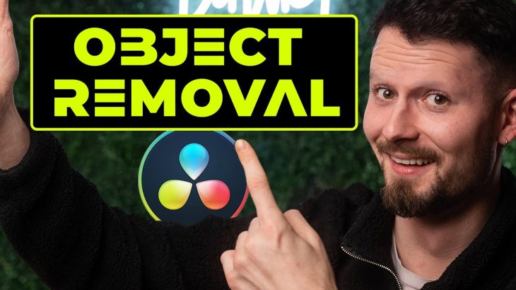 【Davinci resolve 18】HOW TO Remove any Object | Davinci Resolve 18 Tutorial