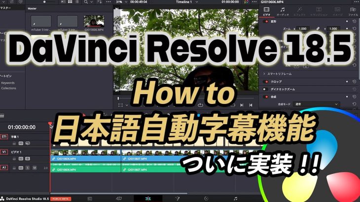 【Davinci resolve 17】DaVinci Resolve 18.5の新機能「音声自動字幕」がついに日本語に対応「これで文字起こしが楽チンに！」
