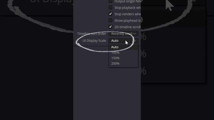 【Davinci resolve 17】INCREASE the Display Size – DaVinci Resolve for NOOBS! – Tip #34