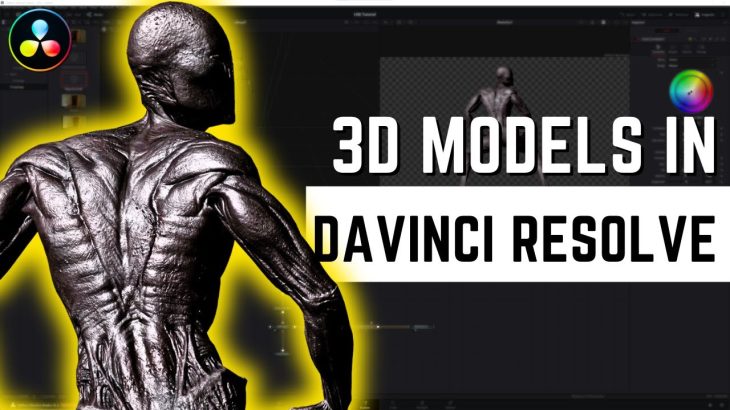 【Davinci resolve 17】Working With 3D Models in Davinci Resolve 18.5 is SO EASY!!