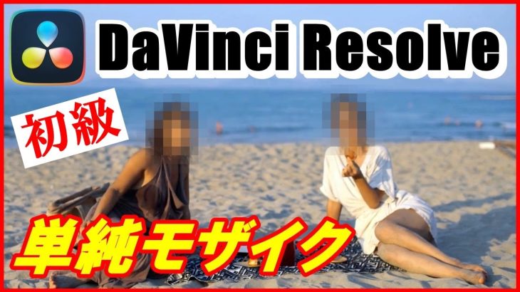 【Davinci resolve 17】単純なモザイク【無料】DaVinci Resolve 初級ゆっくり解説 ダビンチリゾルブ