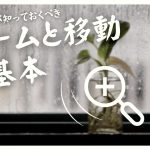 【Davinci resolve 17】初心者必見！ズーム・移動の超基本【ダビンチリゾルブ】