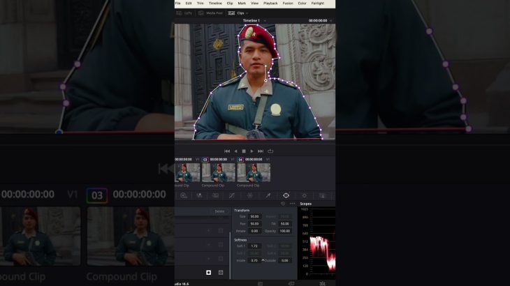 【Davinci resolve 17】How to blur background in DaVinci Resolve