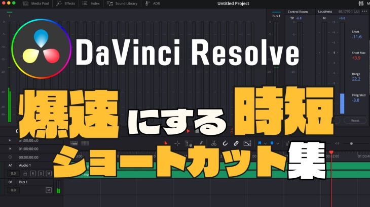 【Davinci resolve 17】【永久保存】DaVinci Resolveを爆速にする時短ショートカット集