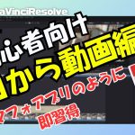 【Davinci resolve 17】【超初心者向け】たった12分でわかる！動画編集の基本ステップ解説🎬✨ダビンチリゾルブ