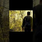 【Davinci resolve 18】When the world goes quiet, even a question sounds like destiny. #shortsfeed #shorts #cinematic
