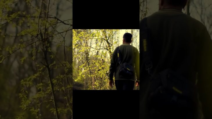 【Davinci resolve 18】When the world goes quiet, even a question sounds like destiny. #shortsfeed #shorts #cinematic