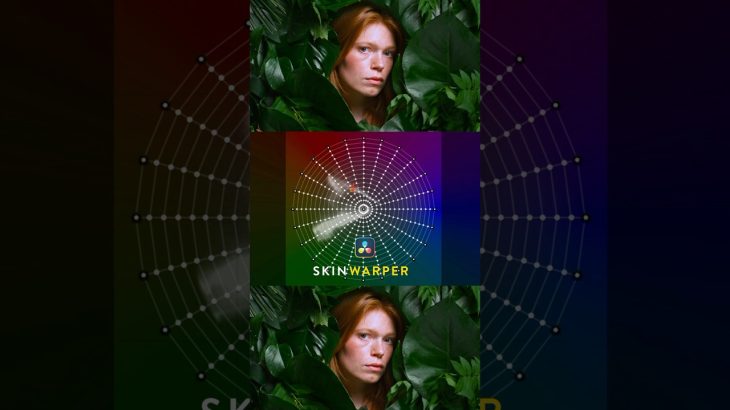 【Davinci resolve 20】Color warper skin tones in DaVinci Resolve  20Color warper skin tones in DaVinci Resolve  20